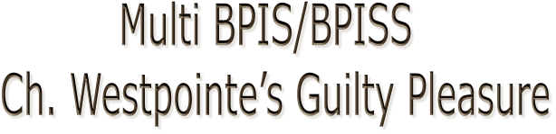 Multi BPIS/BPISS  Ch. Westpointe’s Guilty Pleasure